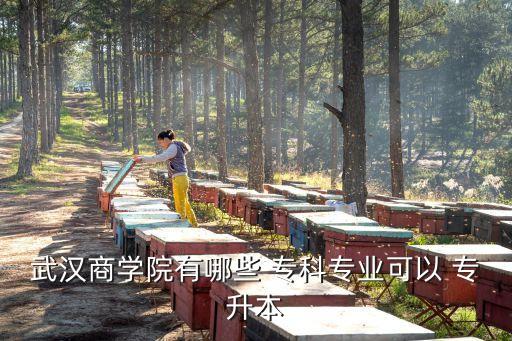 武漢商學院有哪些 ?？茖I(yè)可以 專升本