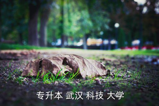 武漢科技大學專升本試題,報考不同專業(yè)的人考試試題不同