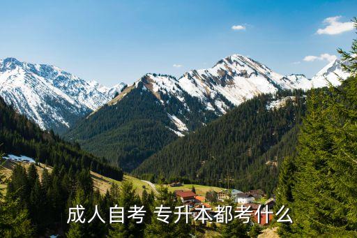成人專升本課程,成人高考專升本考試專業(yè)課包括哲學(xué)、文史等