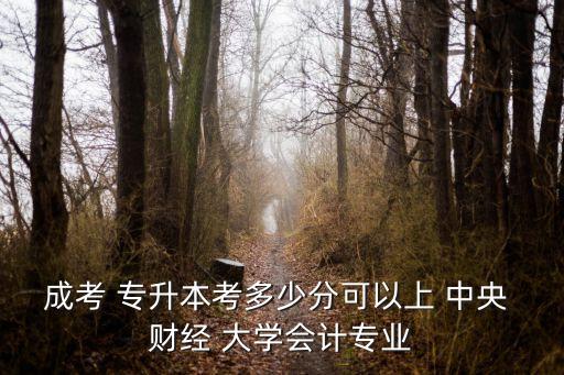 中央財(cái)經(jīng)大學(xué)專升本條件,選擇自己擅長的領(lǐng)域和專業(yè)