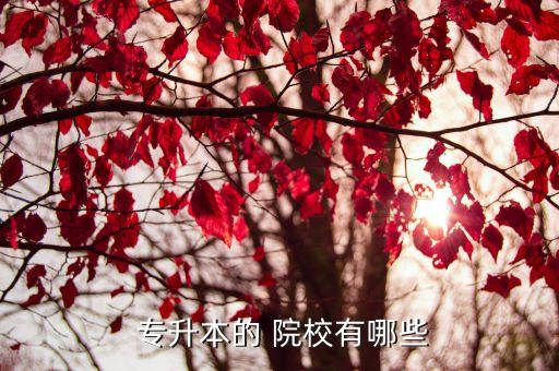 江蘇省專升本院校名字,陜西專升本考試招生學(xué)校名單出爐