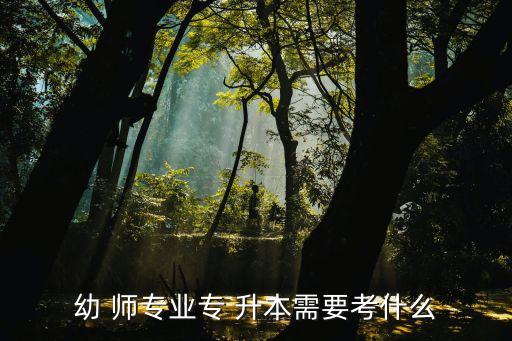合肥幼師專升本,大專升本，?？粕疽话阒冈谛４髮W(xué)生