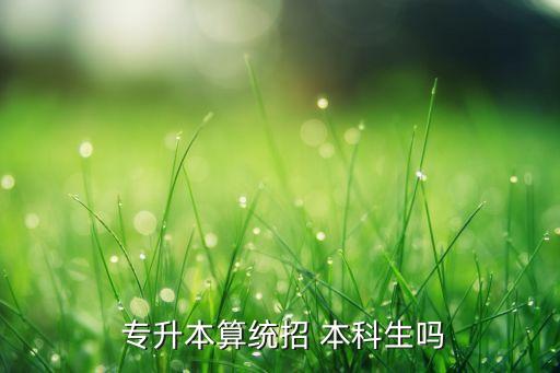  專升本算統(tǒng)招 本科生嗎