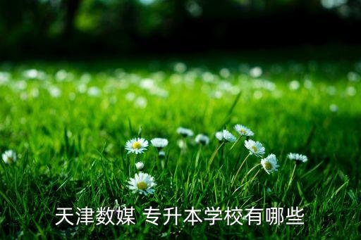 專升本南開大學(xué),專升本可報考的高校有山東經(jīng)濟(jì)燕山學(xué)院等
