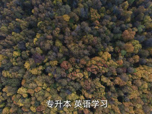  專升本 英語(yǔ)學(xué)習(xí)