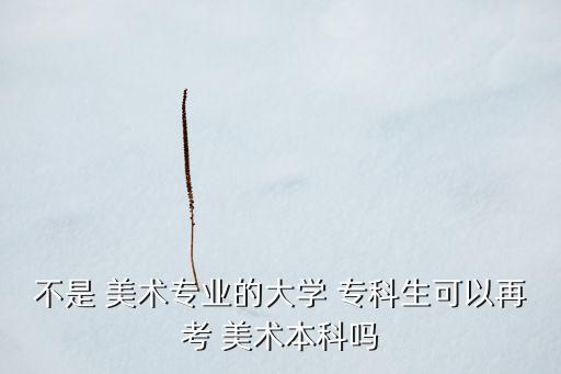 不是 美術(shù)專業(yè)的大學(xué) ?？粕梢栽倏?美術(shù)本科嗎