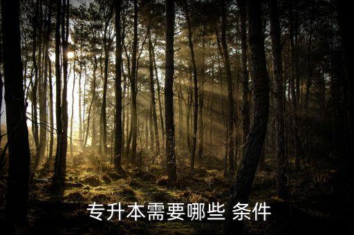 大學(xué)專(zhuān)升本要具備什么條件,高等學(xué)府畢業(yè)生怎么辦?