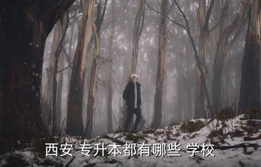 西安 專升本都有哪些 學校