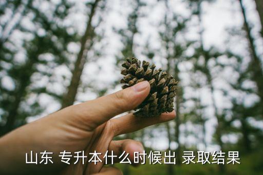  山東 專升本什么時(shí)候出 錄取結(jié)果