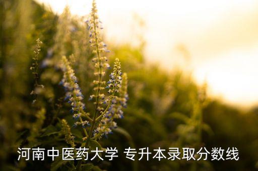 河南中醫(yī)藥大學 專升本錄取分數(shù)線
