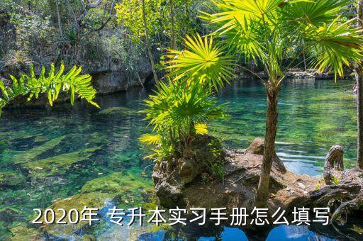 2020年 專升本實(shí)習(xí)手冊怎么填寫
