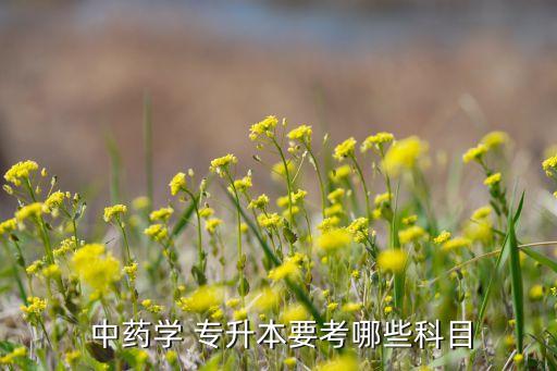 中藥制藥專升本,安徽中醫(yī)藥大學專升本專業(yè)課介紹中藥學習
