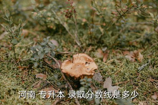 華農(nóng)專升本入學考試錄取分,湖北普通專升本考試具體不涉及錄取