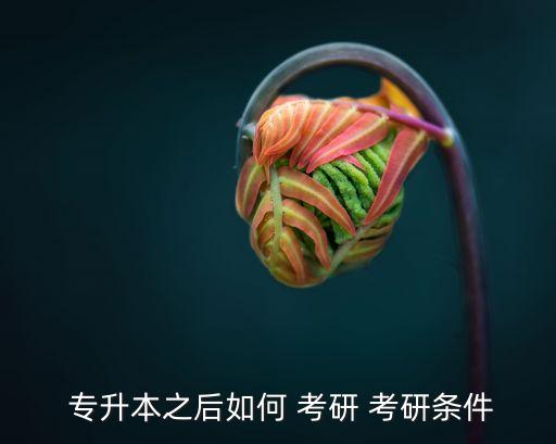 專升本考研復(fù)試的回答,考研復(fù)試時(shí)需要注意哪些事項(xiàng)?