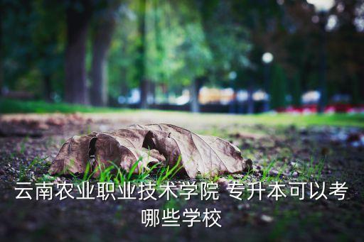 云南省能專升本院校,云南農(nóng)業(yè)職業(yè)技術(shù)學(xué)院是一所專升本學(xué)校