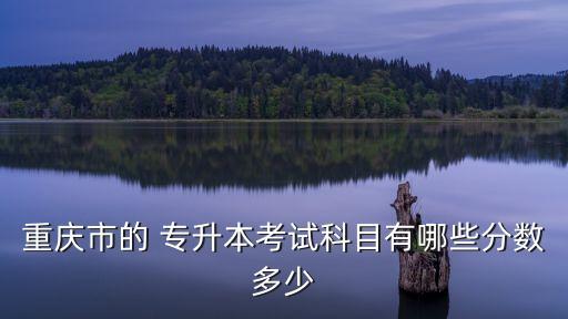 重慶市的 專(zhuān)升本考試科目有哪些分?jǐn)?shù)多少