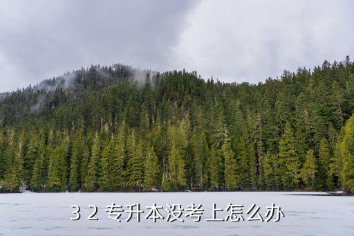 3 2 專升本沒(méi)考上怎么辦