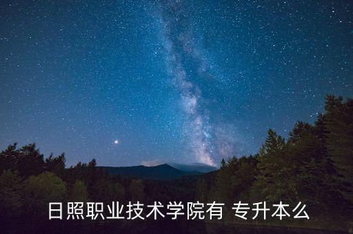  日照職業(yè)技術(shù)學院有 專升本么