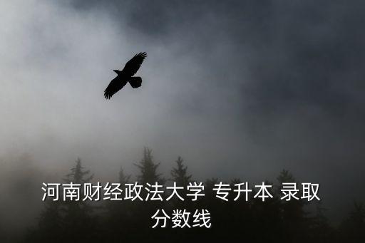  河南財經(jīng)政法大學 專升本 錄取 分數(shù)線