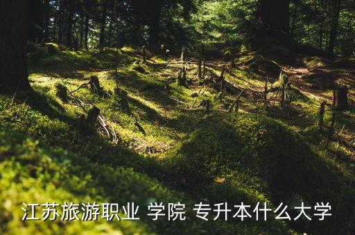 揚(yáng)子學(xué)院專升本,江蘇旅游職業(yè)學(xué)院是一所全日制普通高校