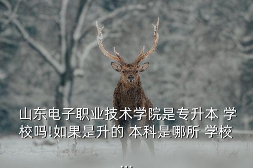 山東大專升本科的學校嗎,山東?？粕鷮W校新增十所本科院校