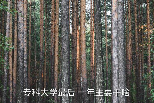 專科大學最后 一年主要干啥