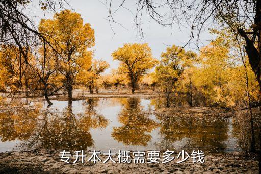 長春成考專升本培訓(xùn),成人高考專升本費(fèi)用有何不同?
