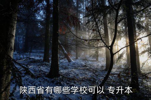  陜西省有哪些學(xué)?？梢?專升本