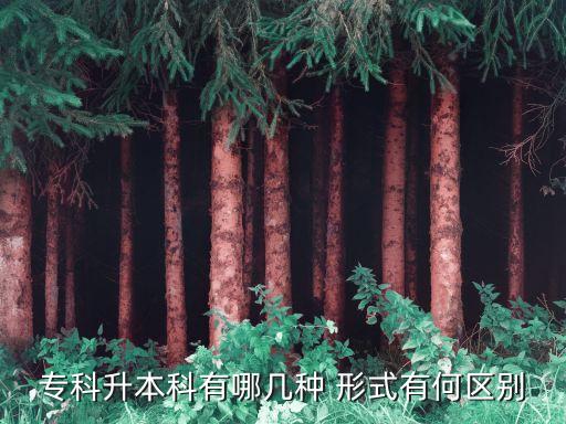 ?？粕究朴心膸追N 形式有何區(qū)別
