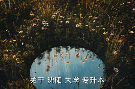 關(guān)于 沈陽(yáng) 大學(xué) 專升本