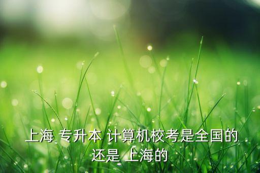 上海專升本計算機(jī)證書,計算機(jī)i級考試通過者可報名參加專升本