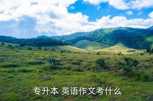  專升本 英語(yǔ)作文考什么