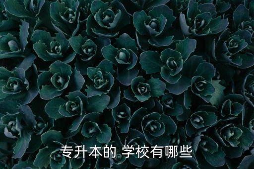 專(zhuān)升本的 學(xué)校有哪些