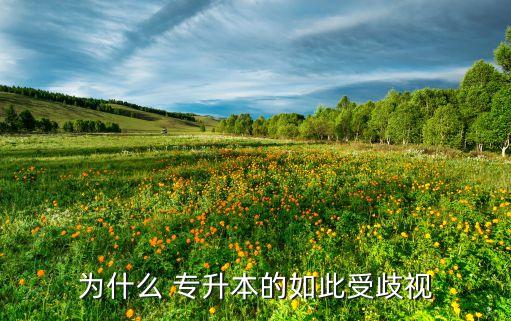 專升本太尷尬,因家庭和自身原因部分專科生不會報考專升本
