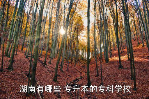 湖南民政學(xué)院專(zhuān)升本,湖南哪些公立院?？梢灾鄙?2/專(zhuān)升本