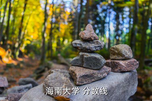  海南大學 分數(shù)線