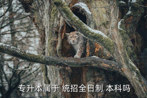 統(tǒng)招本科和專升本本科,專升本畢業(yè)證書注明:大專起點(diǎn)本科學(xué)歷