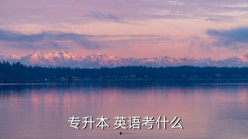  專升本 英語(yǔ)考什么