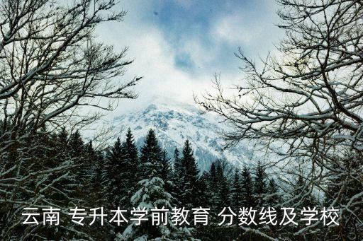 云南 專升本學前教育 分數(shù)線及學校