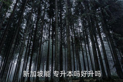  新加坡能 專(zhuān)升本嗎好升嗎