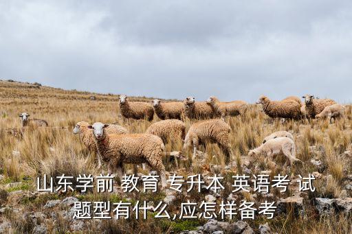 山東省專升本英語(yǔ)教育試題,聽(tīng)力理解15分鐘閱讀理解20小題