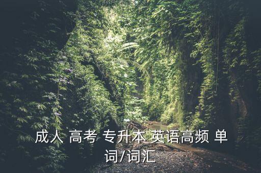  成人 高考 專升本 英語(yǔ)高頻 單詞/詞匯