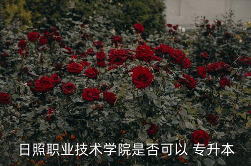 日照專升本教育機構(gòu),日本職業(yè)技術(shù)院?？赡芴峁Ｉ居袃深? /></a><a href=