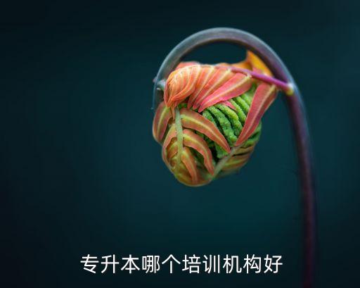 普通高校專(zhuān)升本培訓(xùn)班,專(zhuān)升本考研輔導(dǎo)班哪些品牌值得你信賴(lài)?