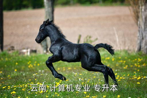  云南 計算機(jī)專業(yè) 專升本