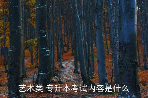 藝術類 專升本考試內容是什么