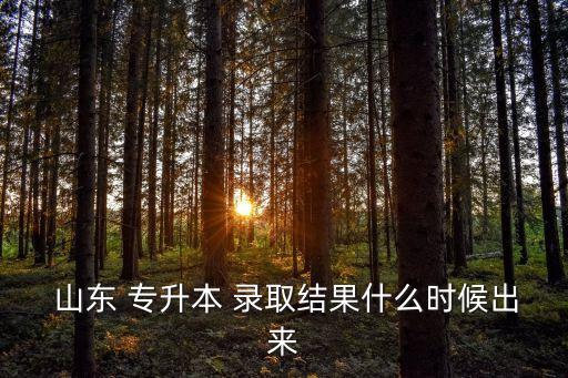 山東專升本錄取進度,統(tǒng)招專升本錄取通知一般在一周內(nèi)發(fā)出