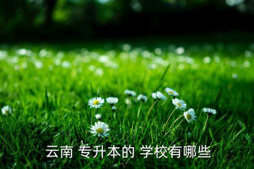 云南昆明專升本醫(yī)學(xué)學(xué)校有哪些,云南云南，省會(huì)昆明市