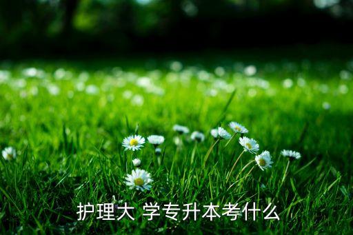  護理大 學專升本考什么
