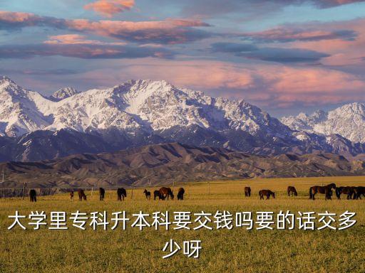 大學(xué)里專(zhuān)科升本科要交錢(qián)嗎要的話交多少呀